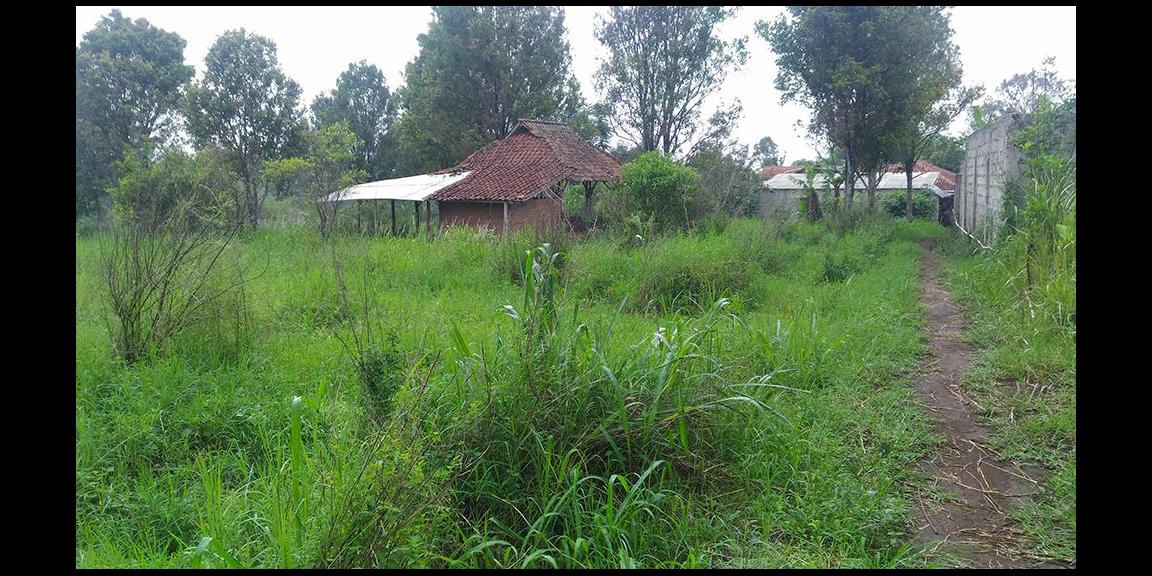 TANAH MATANG KAWASAN CIUMBULEUIT BANDUNG TANAH MATANG KAWASAN CIUMBULEUIT BANDUNG