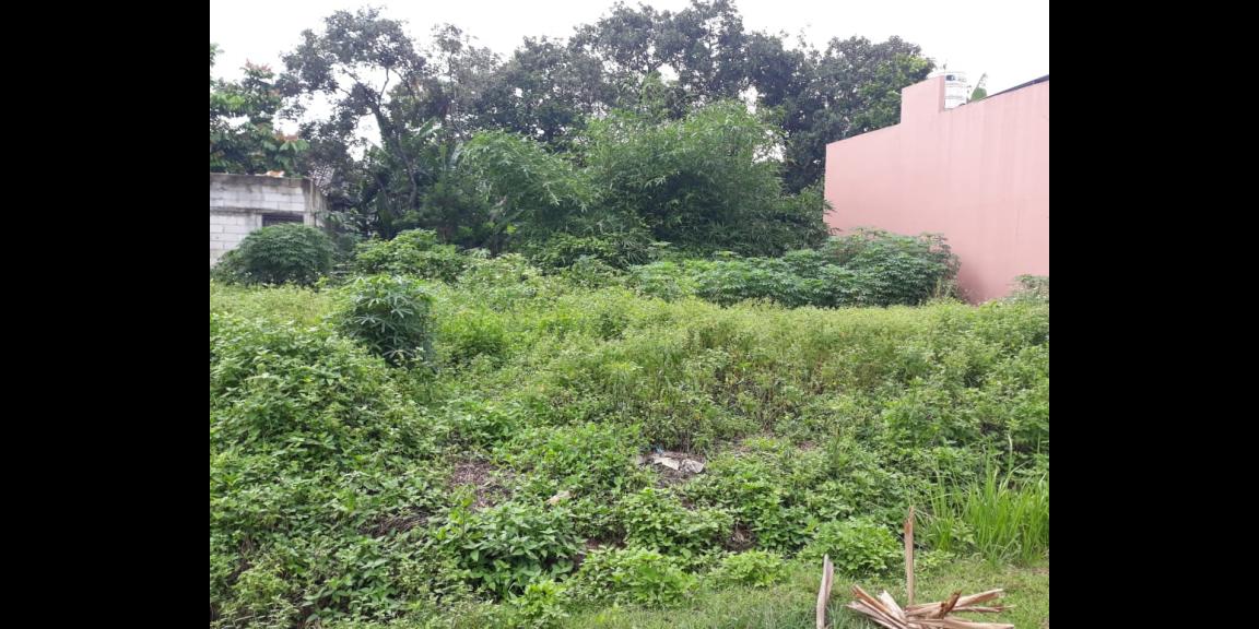 TANAH DIJUAL TANAH DIJUAL