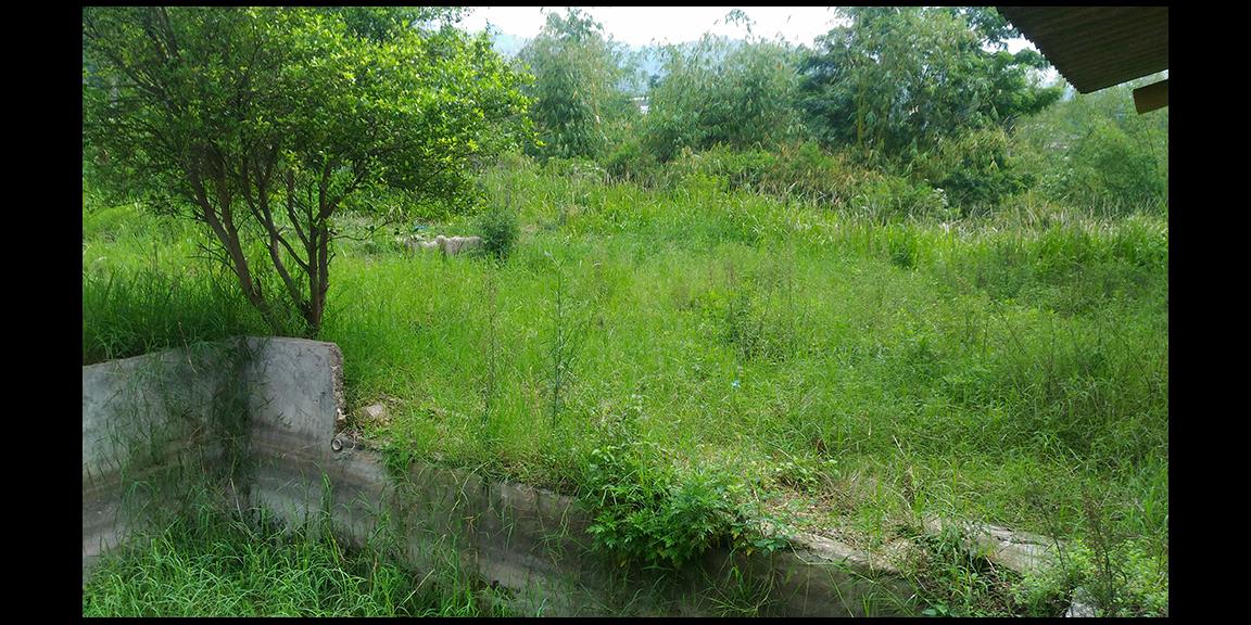 TANAH MATANG KAWASAN CIUMBULEUIT BANDUNG TANAH MATANG KAWASAN CIUMBULEUIT BANDUNG