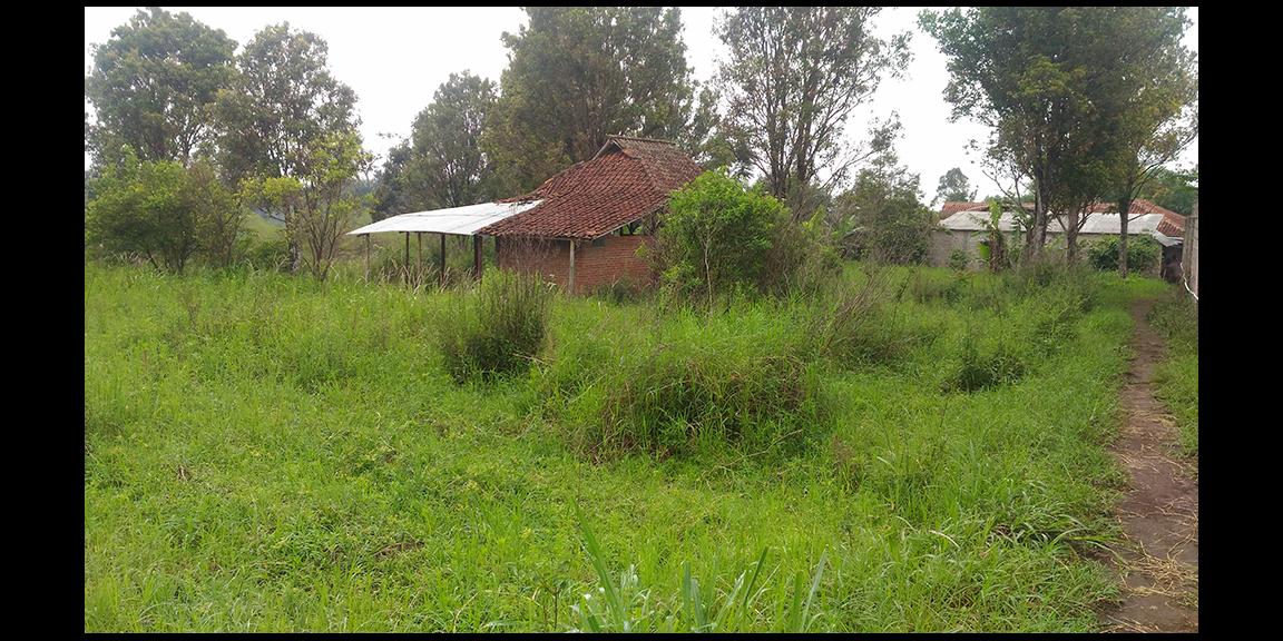 TANAH MATANG KAWASAN CIUMBULEUIT BANDUNG TANAH MATANG KAWASAN CIUMBULEUIT BANDUNG