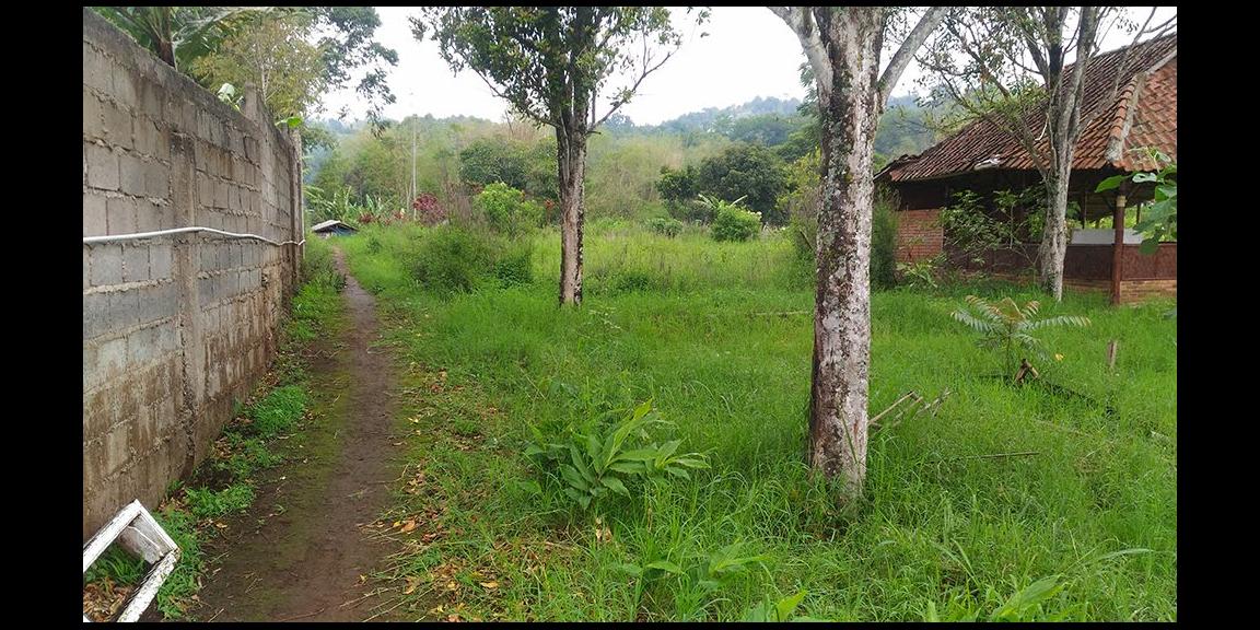 TANAH MATANG KAWASAN CIUMBULEUIT BANDUNG TANAH MATANG KAWASAN CIUMBULEUIT BANDUNG