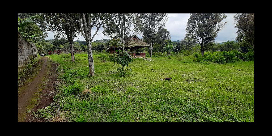 TANAH MATANG KAWASAN CIUMBULEUIT BANDUNG TANAH MATANG KAWASAN CIUMBULEUIT BANDUNG