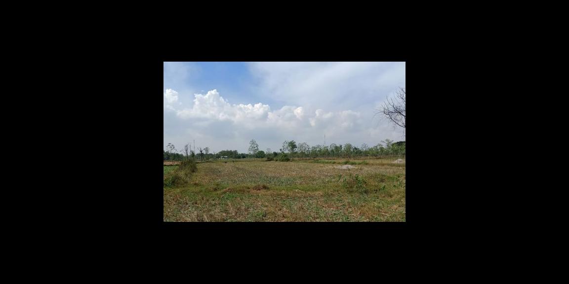 Jual Tanah Desa Lerpak Geger Madura Jual Tanah Desa Lerpak Geger Madura