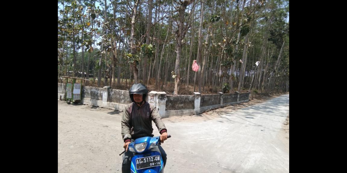 Dijual Tanah Ponggok Blitar bonus sengon Harga nego Dijual Tanah Ponggok Blitar bonus sengon Harga nego