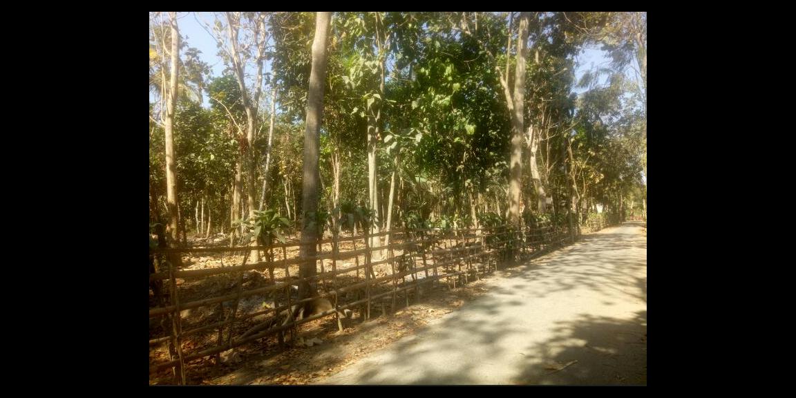 BU Segera, Tanah Dijual Cepat Desa Sumber Sanankulon Blitar harga 7jt/ru (nego) BU Segera, Tanah Dijual Cepat Desa Sumber Sanankulon Blitar harga 7jt/ru (nego)