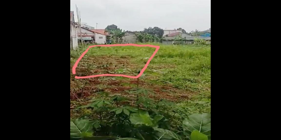 Tanah Dijual Dekat SMA Negeri 1 Ciampea Bogor, Kampus IPB Dramaga Bogor, Kampoeng Wisata Cinangneng Bogor Tanah Dijual Dekat SMA Negeri 1 Ciampea Bogor, Kampus IPB Dramaga Bogor, Kampoeng Wisata Cinangneng Bogor