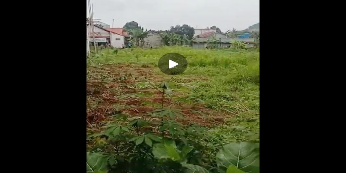 Tanah Dijual Dekat SMA Negeri 1 Ciampea Bogor, Kampus IPB Dramaga Bogor, Kampoeng Wisata Cinangneng Bogor Tanah Dijual Dekat SMA Negeri 1 Ciampea Bogor, Kampus IPB Dramaga Bogor, Kampoeng Wisata Cinangneng Bogor