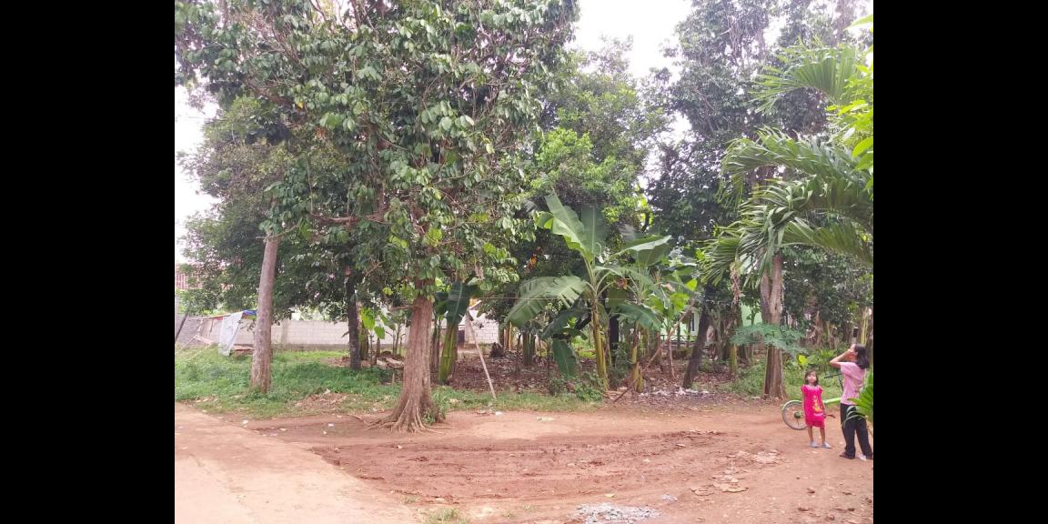 Tanah Dijual Murah Dekat Jl. Mercedes Benz dan Pintu Tol Cimanggis-Cikeas Bogor Tanah Dijual Murah Dekat Jl. Mercedes Benz dan Pintu Tol Cimanggis-Cikeas Bogor