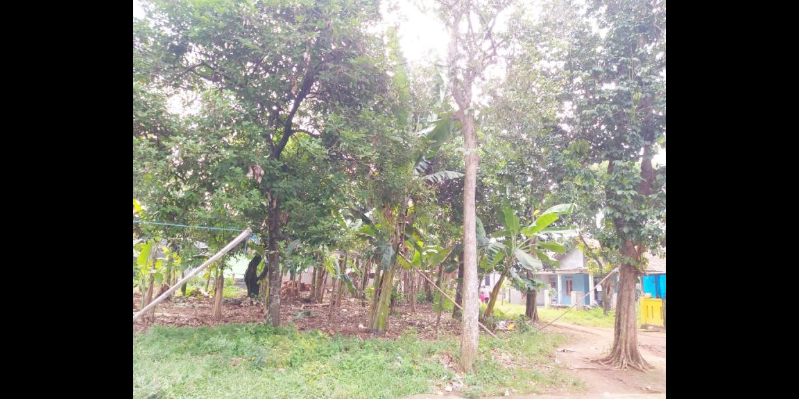 Tanah Dijual Murah Dekat Jl. Mercedes Benz dan Pintu Tol Cimanggis-Cikeas Bogor Tanah Dijual Murah Dekat Jl. Mercedes Benz dan Pintu Tol Cimanggis-Cikeas Bogor