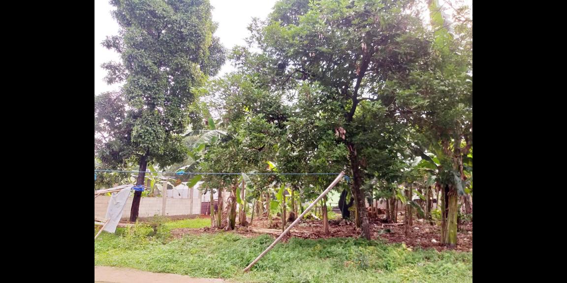 Tanah Dijual Murah Dekat Jl. Mercedes Benz dan Pintu Tol Cimanggis-Cikeas Bogor Tanah Dijual Murah Dekat Jl. Mercedes Benz dan Pintu Tol Cimanggis-Cikeas Bogor