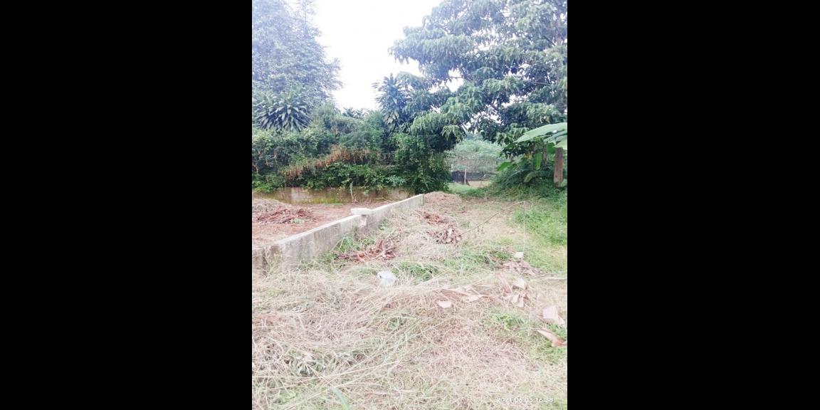 Dijual Tanah Bagus Untuk Investasi Dekat Stadion Pakansari Cibinong Bogor Dijual Tanah Bagus Untuk Investasi Dekat Stadion Pakansari Cibinong Bogor