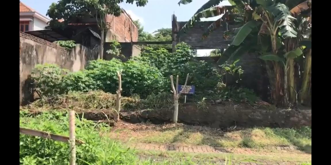 Tanah Dijual Murah Dekat Asrama Haji Kota Semarang Lokasi Strategis Dalam Komplek  Tanah Dijual Murah Dekat Asrama Haji Kota Semarang Lokasi Strategis Dalam Komplek