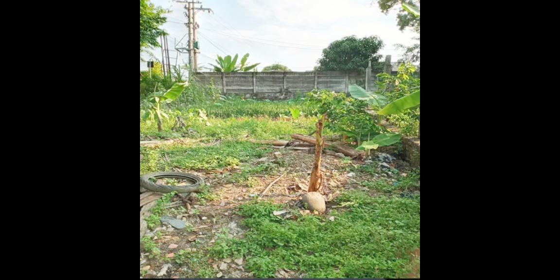 Tanah Dijual di Palembang Pinggir Jalan Dekat Citra Land Palembang, Stasiun Kertapati, Pintu Tol Palembang-Indralaya Tanah Dijual di Palembang Pinggir Jalan Dekat Citra Land Palembang, Stasiun Kertapati, Pintu Tol Palembang-Indralaya