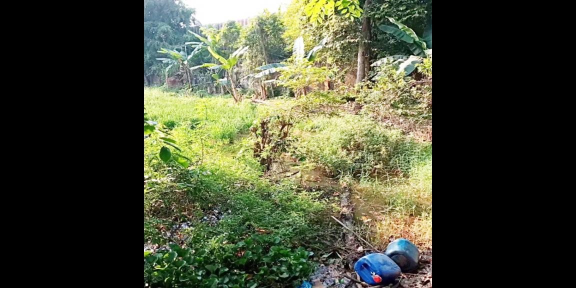 Tanah Dijual di Palembang Pinggir Jalan Dekat Citra Land Palembang, Stasiun Kertapati, Pintu Tol Palembang-Indralaya Tanah Dijual di Palembang Pinggir Jalan Dekat Citra Land Palembang, Stasiun Kertapati, Pintu Tol Palembang-Indralaya