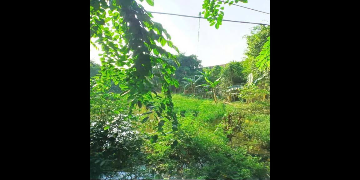 Tanah Dijual di Palembang Pinggir Jalan Dekat Citra Land Palembang, Stasiun Kertapati, Pintu Tol Palembang-Indralaya Tanah Dijual di Palembang Pinggir Jalan Dekat Citra Land Palembang, Stasiun Kertapati, Pintu Tol Palembang-Indralaya