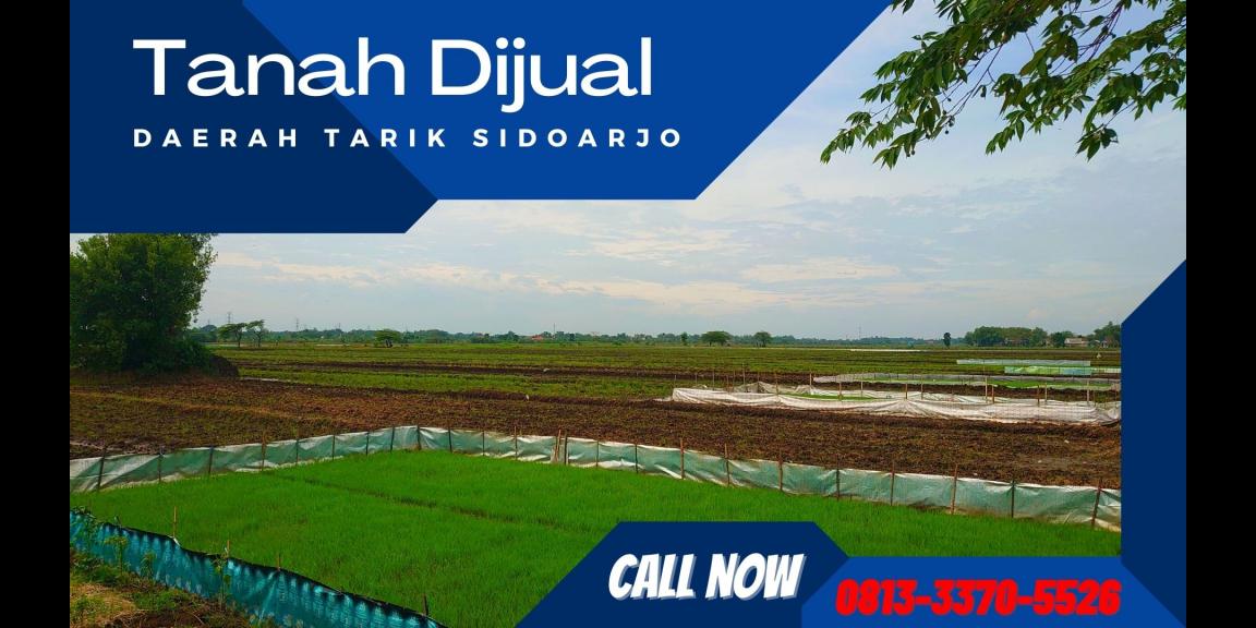 Tanah Dijual di Tarik Sidoarjo Lokasi Strategis Tanah Dijual di Tarik Sidoarjo Lokasi Strategis