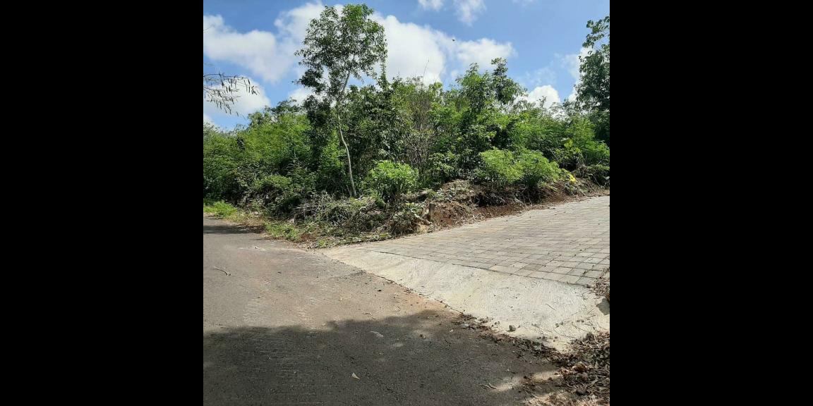 BU Banget Dijual Cepat!!! Tanah 2 Hektar Daerah Pecatu, Kuta Selatan Turun Harga hanya 1.25 jt per meter BU Banget Dijual Cepat!!! Tanah 2 Hektar Daerah Pecatu, Kuta Selatan Turun Harga hanya 1.25 jt per meter