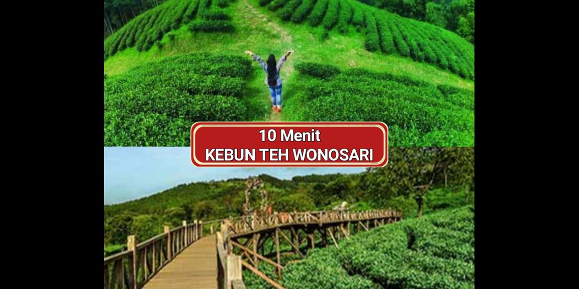 Tanah Kavling Syariah Murah di Malang 79jt Uk 72m² siap air listrik fasum Tanpa bank, Bunga, Denda, Sita, Bi Check, Asuransi dll. TANAH KAVLING AREA PERUMAHAN DAN WISATA PUNCAK KEBUN TEH SEKITAR VILLA DAN HOTEL DG CARA PEMBAYARAN INHOUSE DAPATKAN HARGA Tanah Kavling Syariah Murah di Malang 79jt Uk 72m² siap air listrik fasum Tanpa bank, Bunga, Denda, Sita, Bi Check, Asuransi dll. TANAH KAVLING AREA PERUMAHAN DAN WISATA PUNCAK KEBUN TEH SEKITAR VILLA DAN HOTEL DG CARA PEMBAYARAN INHOUSE DAPATKAN HARGA