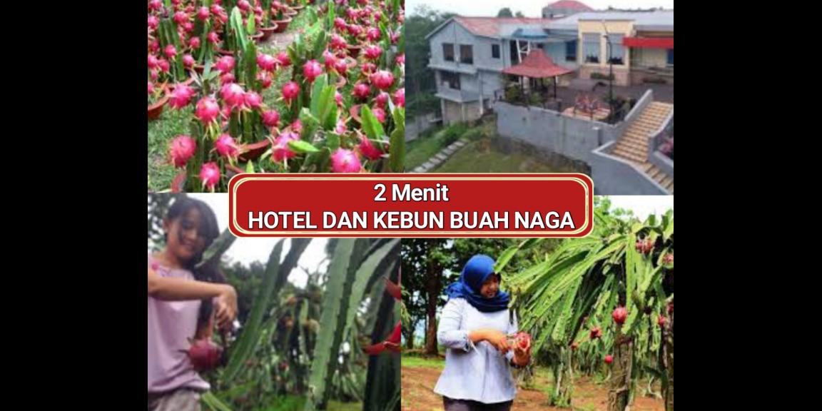 Tanah Kavling Syariah Murah di Malang 79jt Uk 72m² siap air listrik fasum Tanpa bank, Bunga, Denda, Sita, Bi Check, Asuransi dll. TANAH KAVLING AREA PERUMAHAN DAN WISATA PUNCAK KEBUN TEH SEKITAR VILLA DAN HOTEL DG CARA PEMBAYARAN INHOUSE DAPATKAN HARGA Tanah Kavling Syariah Murah di Malang 79jt Uk 72m² siap air listrik fasum Tanpa bank, Bunga, Denda, Sita, Bi Check, Asuransi dll. TANAH KAVLING AREA PERUMAHAN DAN WISATA PUNCAK KEBUN TEH SEKITAR VILLA DAN HOTEL DG CARA PEMBAYARAN INHOUSE DAPATKAN HARGA