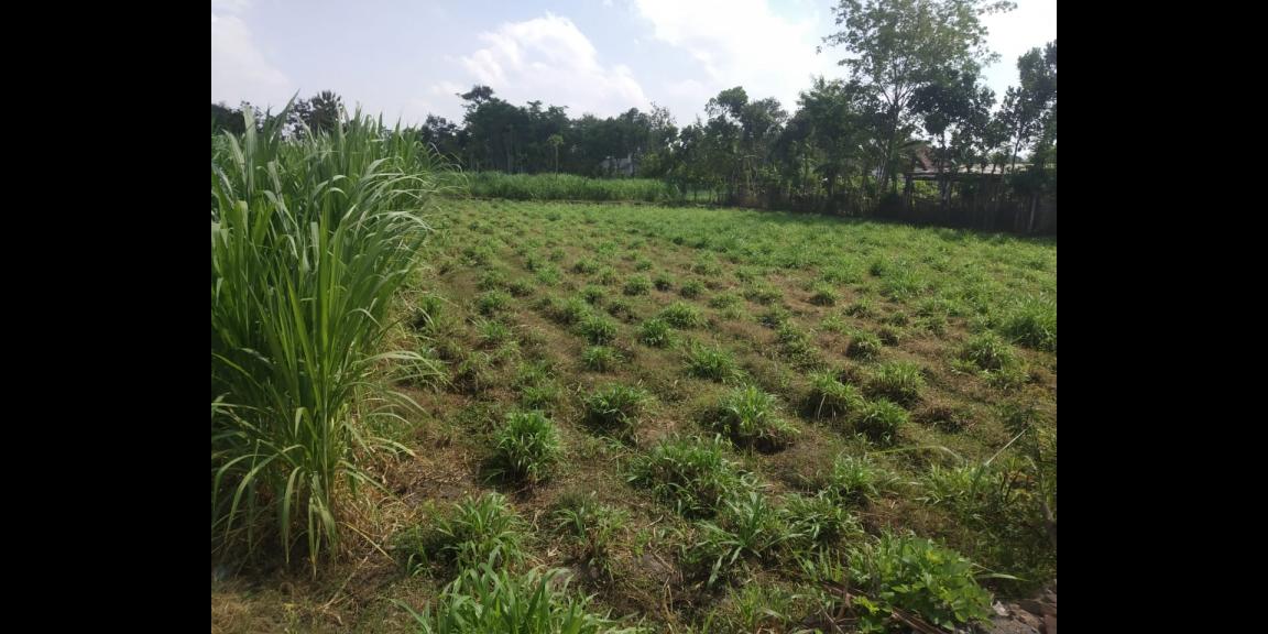 Dijual Rumah Bendogerit Kota Blitar harga bisa nego Dijual Rumah Bendogerit Kota Blitar harga bisa nego