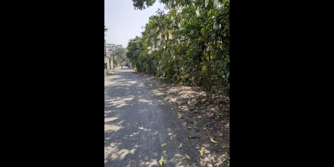 Butuh Uang, Tanah Pekarangan Dijual Ukutan 4.355 m2 Sanankulon Blitar Butuh Uang, Tanah Pekarangan Dijual Ukutan 4.355 m2 Sanankulon Blitar