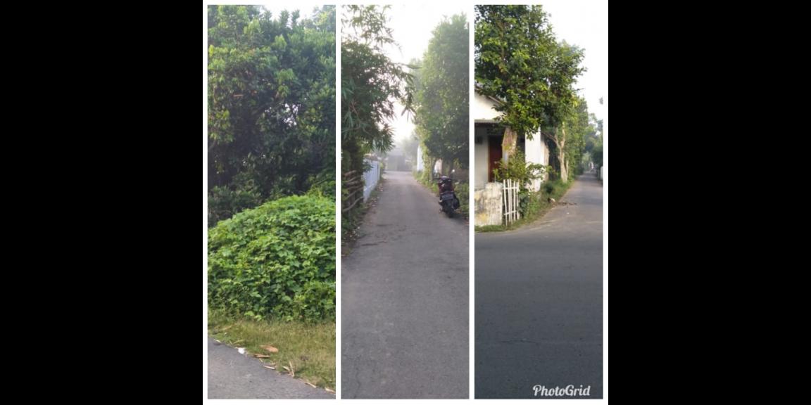 Dijual Tanah Pengkol Tanjungsari ( 350 m2 ) Dijual Tanah Pengkol Tanjungsari ( 350 m2 )