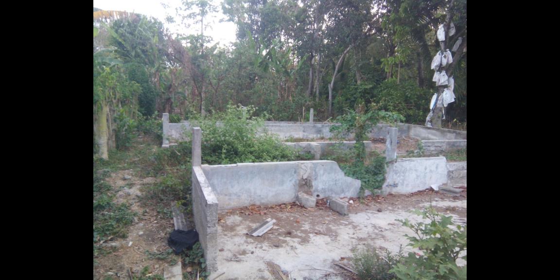 Dijual Tanah Kanigoro Kab. Blitar ( 1617 m2 ) Dijual Tanah Kanigoro Kab. Blitar ( 1617 m2 )