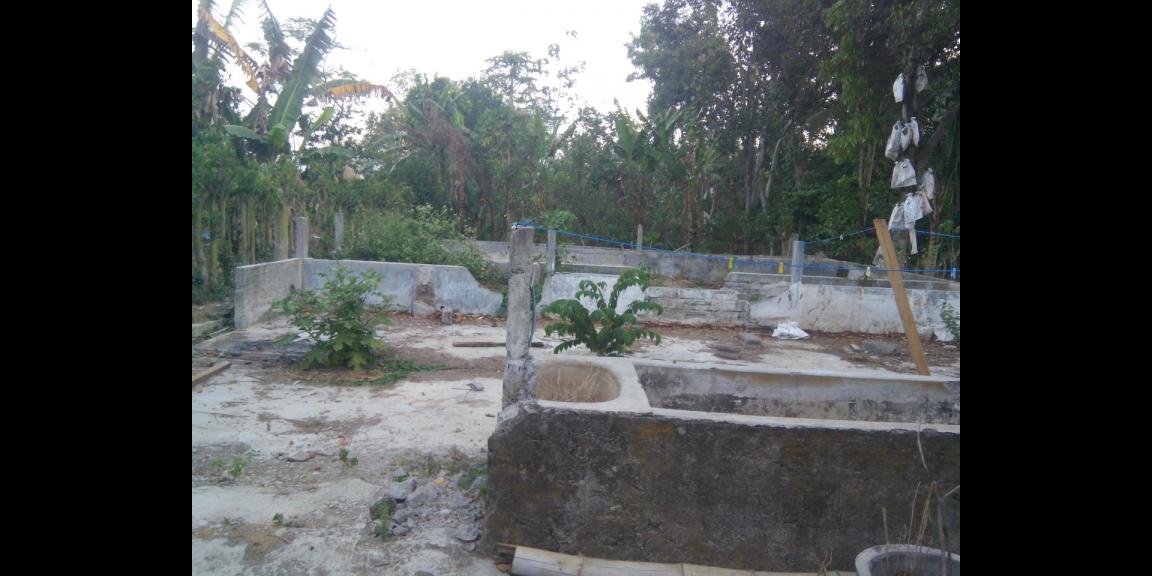 Dijual Tanah Kanigoro Kab. Blitar ( 1617 m2 ) Dijual Tanah Kanigoro Kab. Blitar ( 1617 m2 )