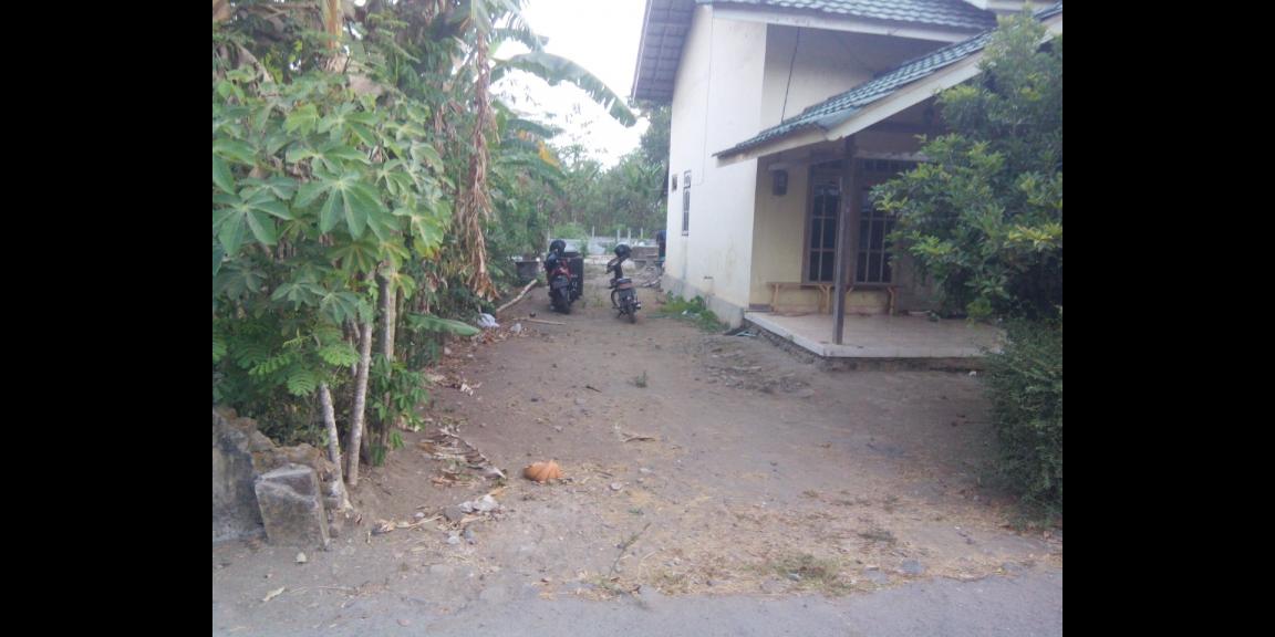 Dijual Tanah Kanigoro Kab. Blitar ( 1617 m2 ) Dijual Tanah Kanigoro Kab. Blitar ( 1617 m2 )