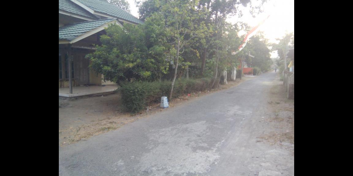 Dijual Tanah Kanigoro Kab. Blitar ( 1617 m2 ) Dijual Tanah Kanigoro Kab. Blitar ( 1617 m2 )