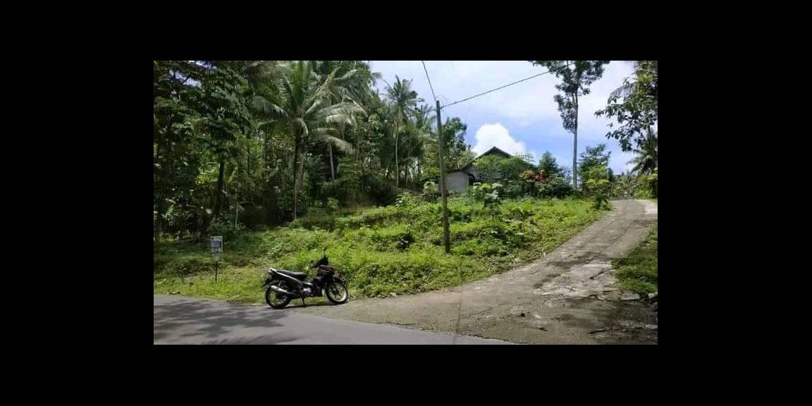 Tanah di Sendangsari Pengasih dekat Kampus UNY Wates Kulon Progo Yogyakarta Tanah di Sendangsari Pengasih dekat Kampus UNY Wates Kulon Progo Yogyakarta