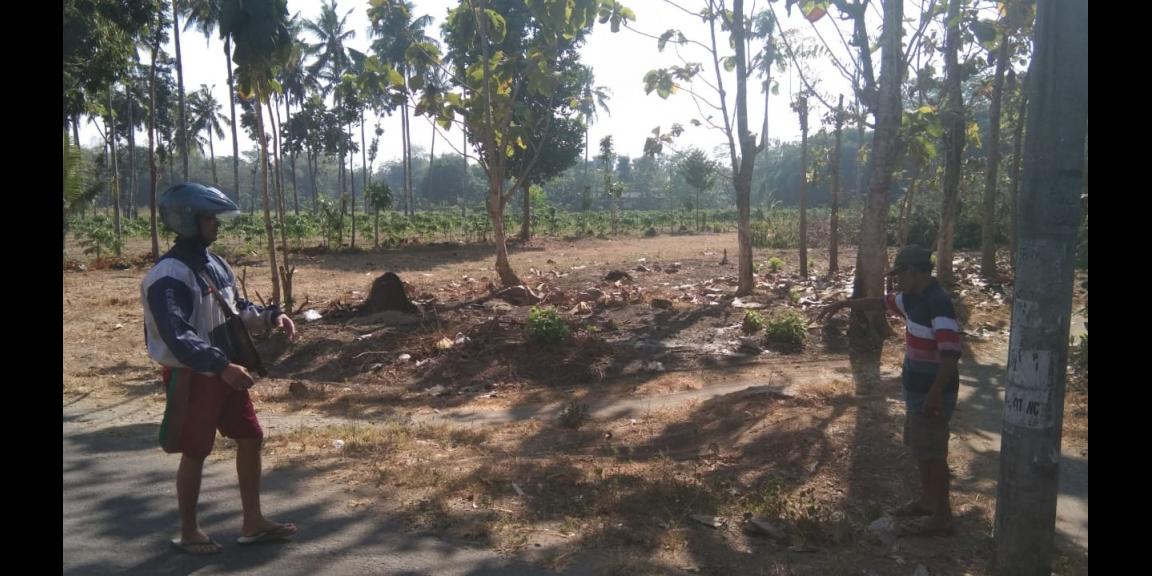 Dijual Tanah Srengat Blitar harga 250rb/m2 Dijual Tanah Srengat Blitar harga 250rb/m2