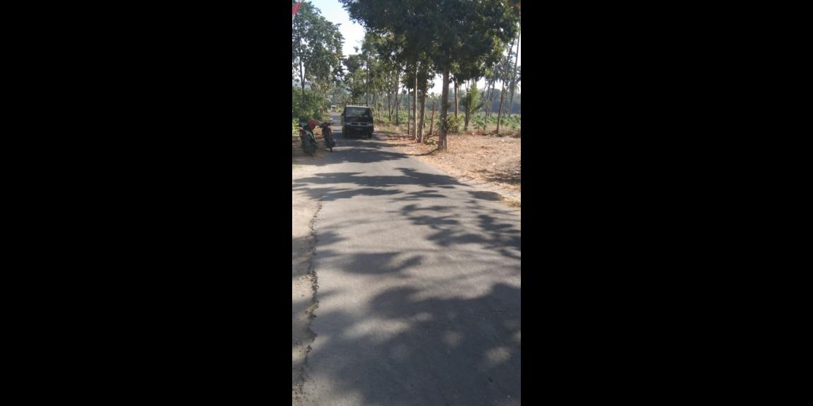 Dijual Tanah Srengat Blitar harga 250rb/m2 Dijual Tanah Srengat Blitar harga 250rb/m2