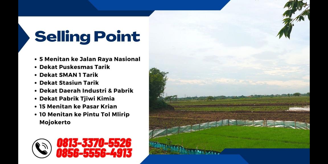 Tanah Dijual di Tarik Sidoarjo Lokasi Strategis Tanah Dijual di Tarik Sidoarjo Lokasi Strategis