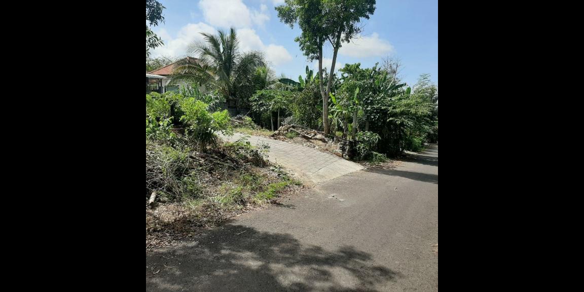 BU Banget Dijual Cepat!!! Tanah 2 Hektar Daerah Pecatu, Kuta Selatan Turun Harga hanya 1.25 jt per meter BU Banget Dijual Cepat!!! Tanah 2 Hektar Daerah Pecatu, Kuta Selatan Turun Harga hanya 1.25 jt per meter