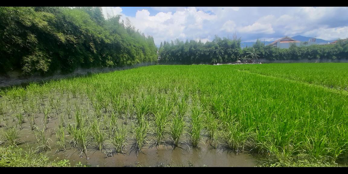 TANAH KAWASAN HUNIAN DI ANTAPANI KOTA BANDUNG TANAH KAWASAN HUNIAN DI ANTAPANI KOTA BANDUNG