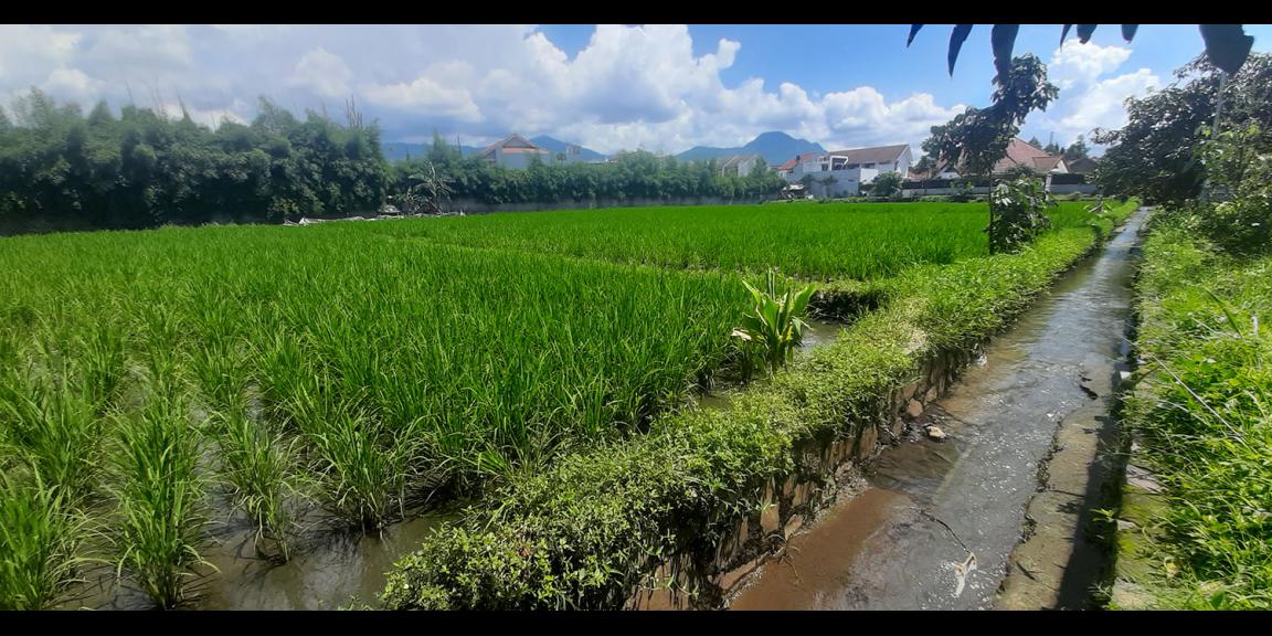 TANAH KAWASAN HUNIAN DI ANTAPANI KOTA BANDUNG TANAH KAWASAN HUNIAN DI ANTAPANI KOTA BANDUNG