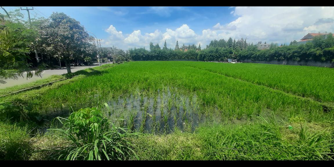 TANAH KAWASAN HUNIAN DI ANTAPANI KOTA BANDUNG TANAH KAWASAN HUNIAN DI ANTAPANI KOTA BANDUNG