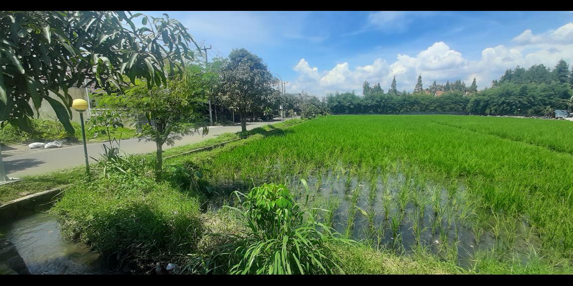 TANAH KAWASAN HUNIAN DI ANTAPANI KOTA BANDUNG TANAH KAWASAN HUNIAN DI ANTAPANI KOTA BANDUNG