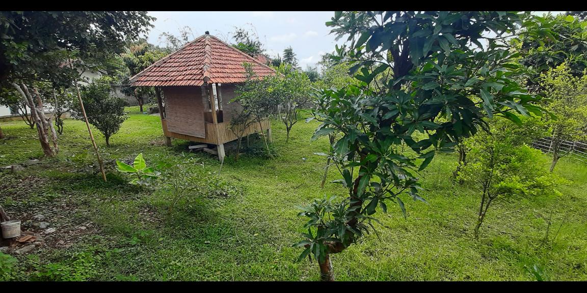 RUMAH DAN KOLAM PEMANCINGAN IKAN DI KAWASAN CIUMBULEUIT, BANDUNG RUMAH DAN KOLAM PEMANCINGAN IKAN DI KAWASAN CIUMBULEUIT, BANDUNG