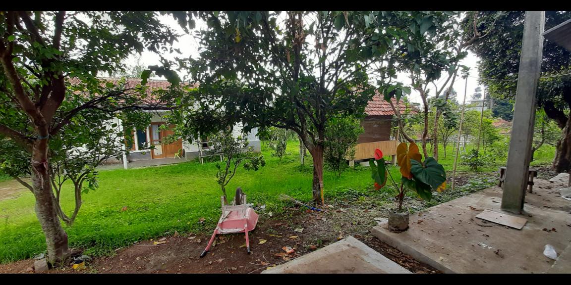 RUMAH DAN KOLAM PEMANCINGAN IKAN DI KAWASAN CIUMBULEUIT, BANDUNG RUMAH DAN KOLAM PEMANCINGAN IKAN DI KAWASAN CIUMBULEUIT, BANDUNG