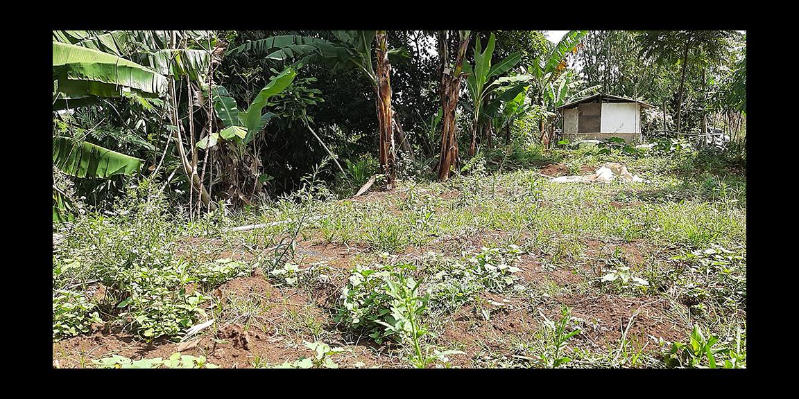 TANAH DI KAWASAN CIUMBULEUIT BANDUNG TANAH DI KAWASAN CIUMBULEUIT BANDUNG