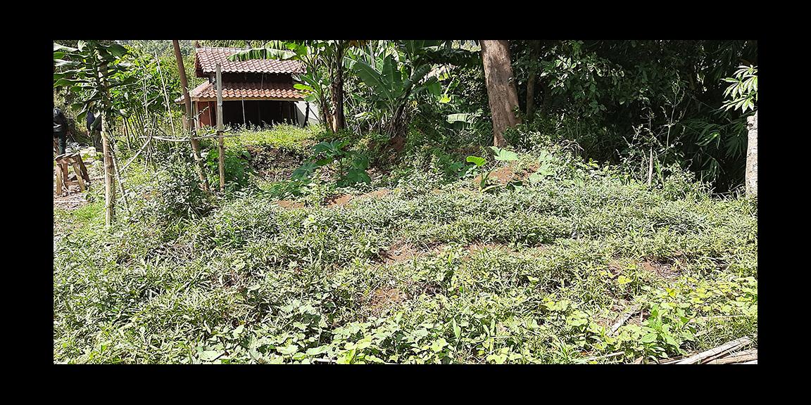 TANAH DI KAWASAN CIUMBULEUIT BANDUNG TANAH DI KAWASAN CIUMBULEUIT BANDUNG