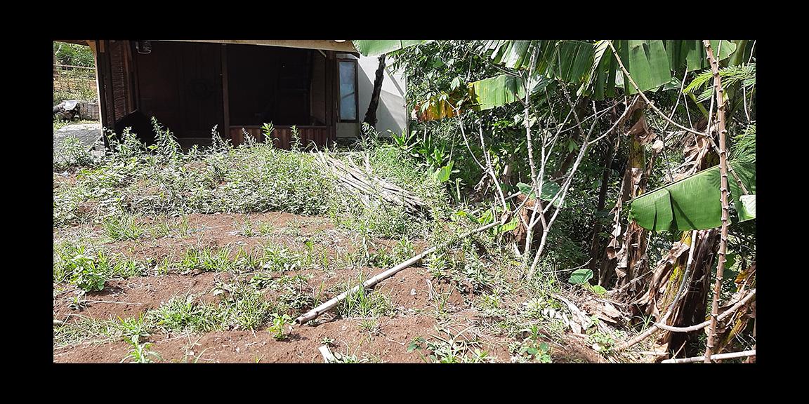 TANAH DI KAWASAN CIUMBULEUIT BANDUNG TANAH DI KAWASAN CIUMBULEUIT BANDUNG