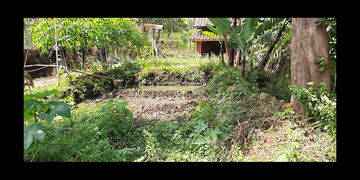 TANAH DI KAWASAN CIUMBULEUIT BANDUNG TANAH DI KAWASAN CIUMBULEUIT BANDUNG