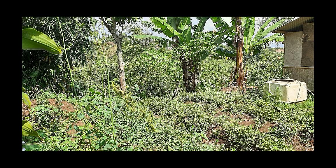 TANAH DI KAWASAN CIUMBULEUIT BANDUNG TANAH DI KAWASAN CIUMBULEUIT BANDUNG