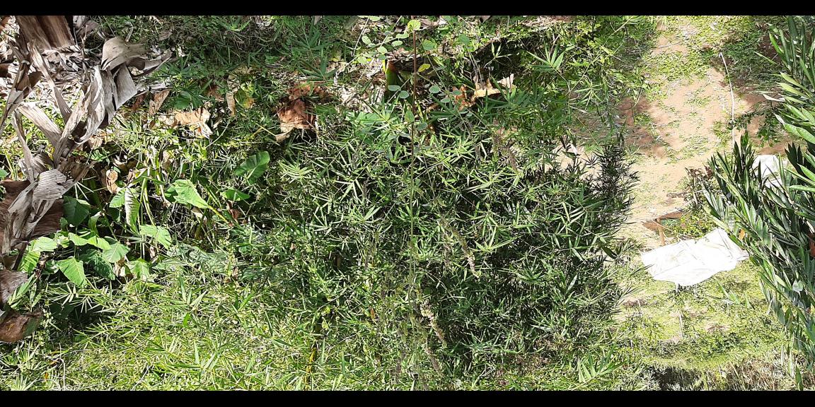 TANAH DI KAWASAN CIUMBULEUIT BANDUNG TANAH DI KAWASAN CIUMBULEUIT BANDUNG