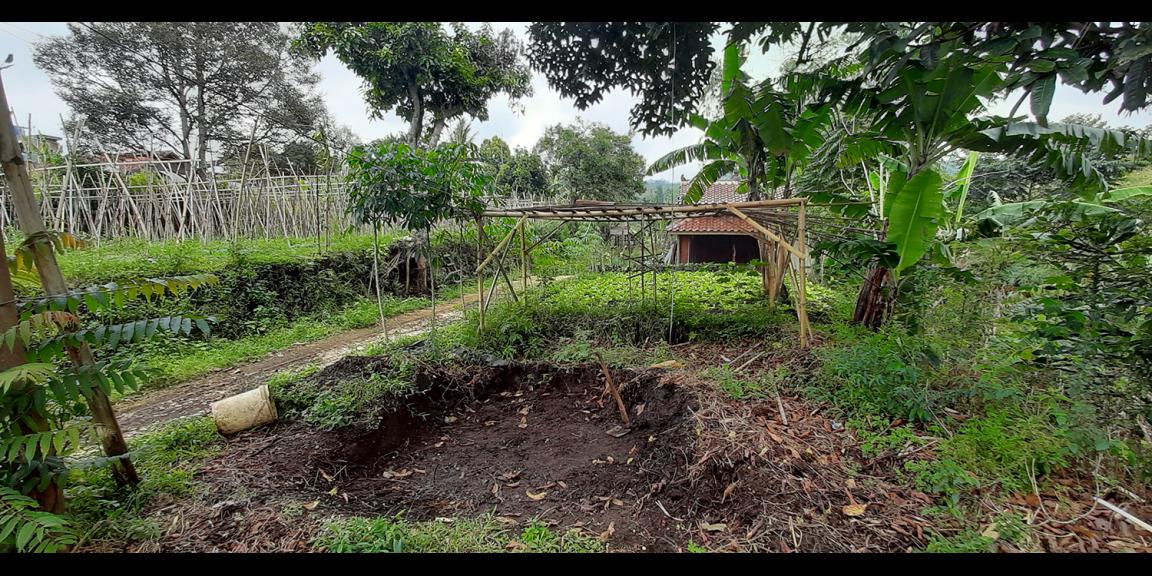 TANAH DI KAWASAN CIUMBULEUIT BANDUNG TANAH DI KAWASAN CIUMBULEUIT BANDUNG
