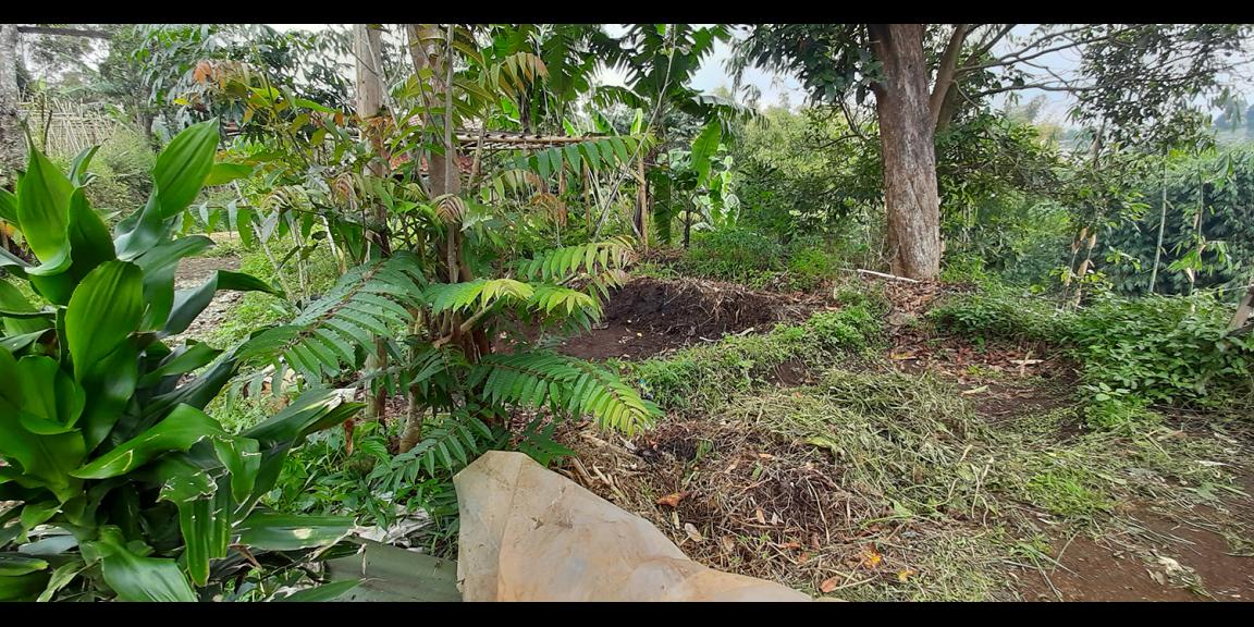 TANAH DI KAWASAN CIUMBULEUIT BANDUNG TANAH DI KAWASAN CIUMBULEUIT BANDUNG
