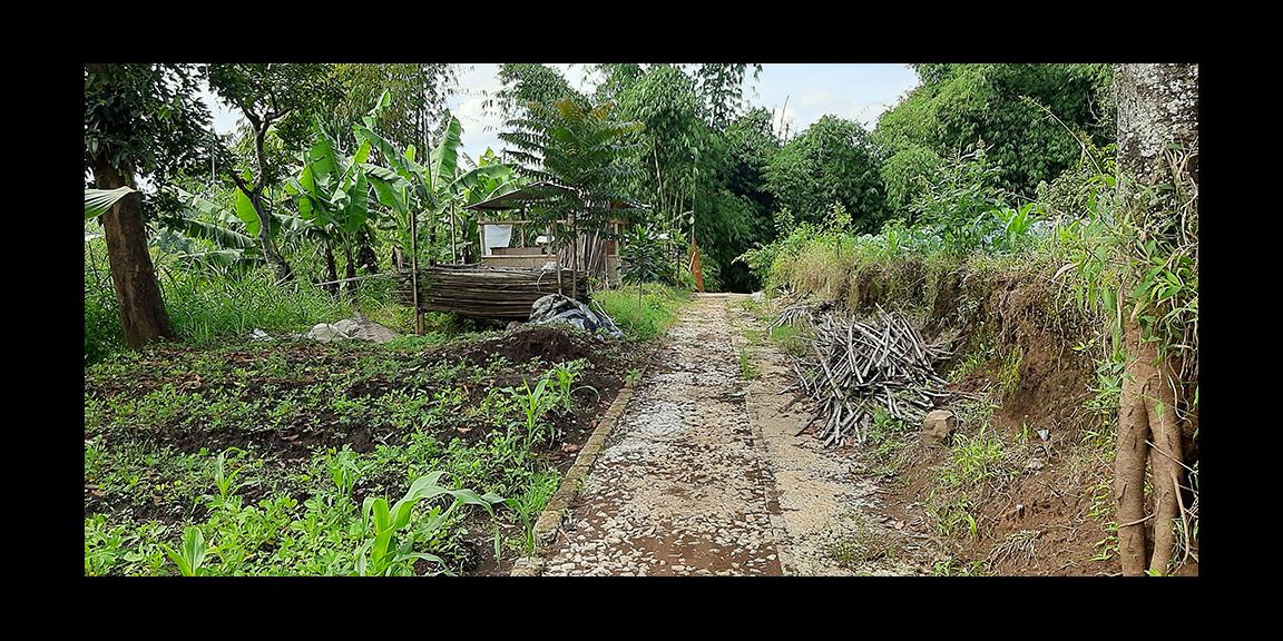 TANAH DI KAWASAN CIUMBULEUIT BANDUNG TANAH DI KAWASAN CIUMBULEUIT BANDUNG